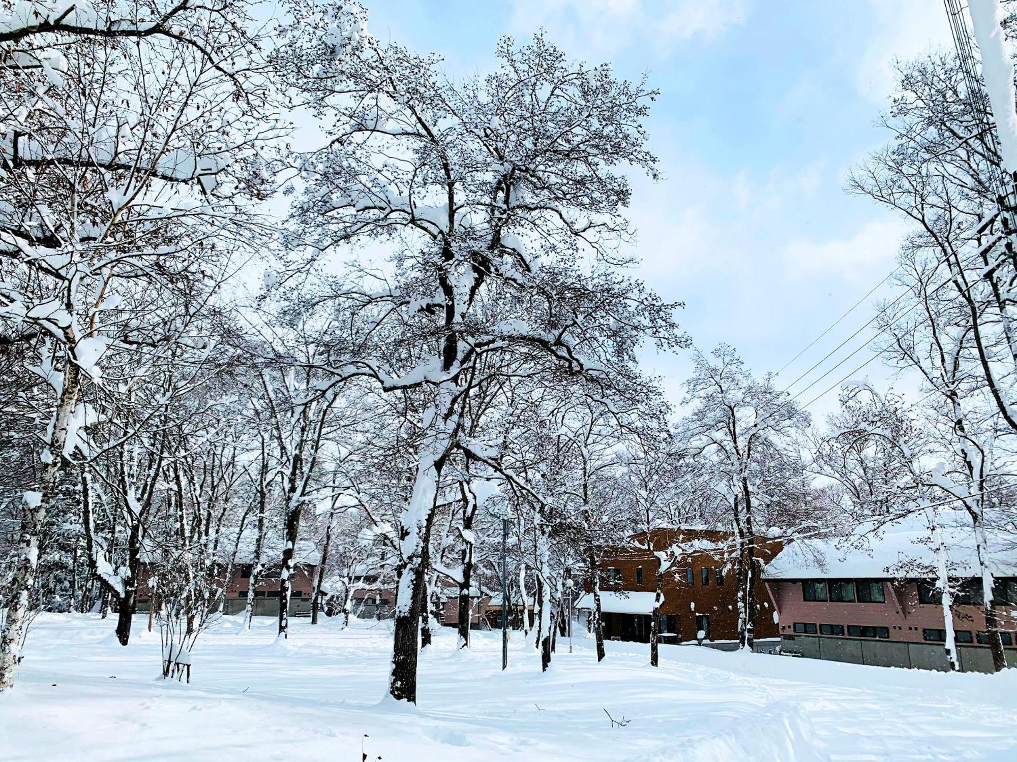 Labo Land Kurohime Villa Shinano  Bagian luar foto